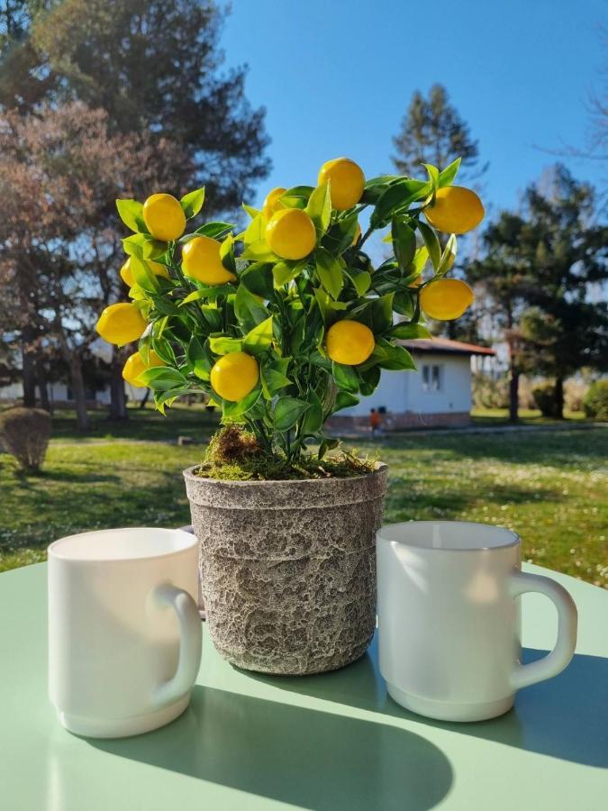 Fuk-Tak'S Bungalow Dojran エクステリア 写真